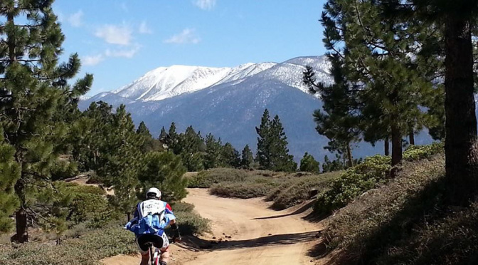 Big Bear Grizzly/Gran Fondo mtb