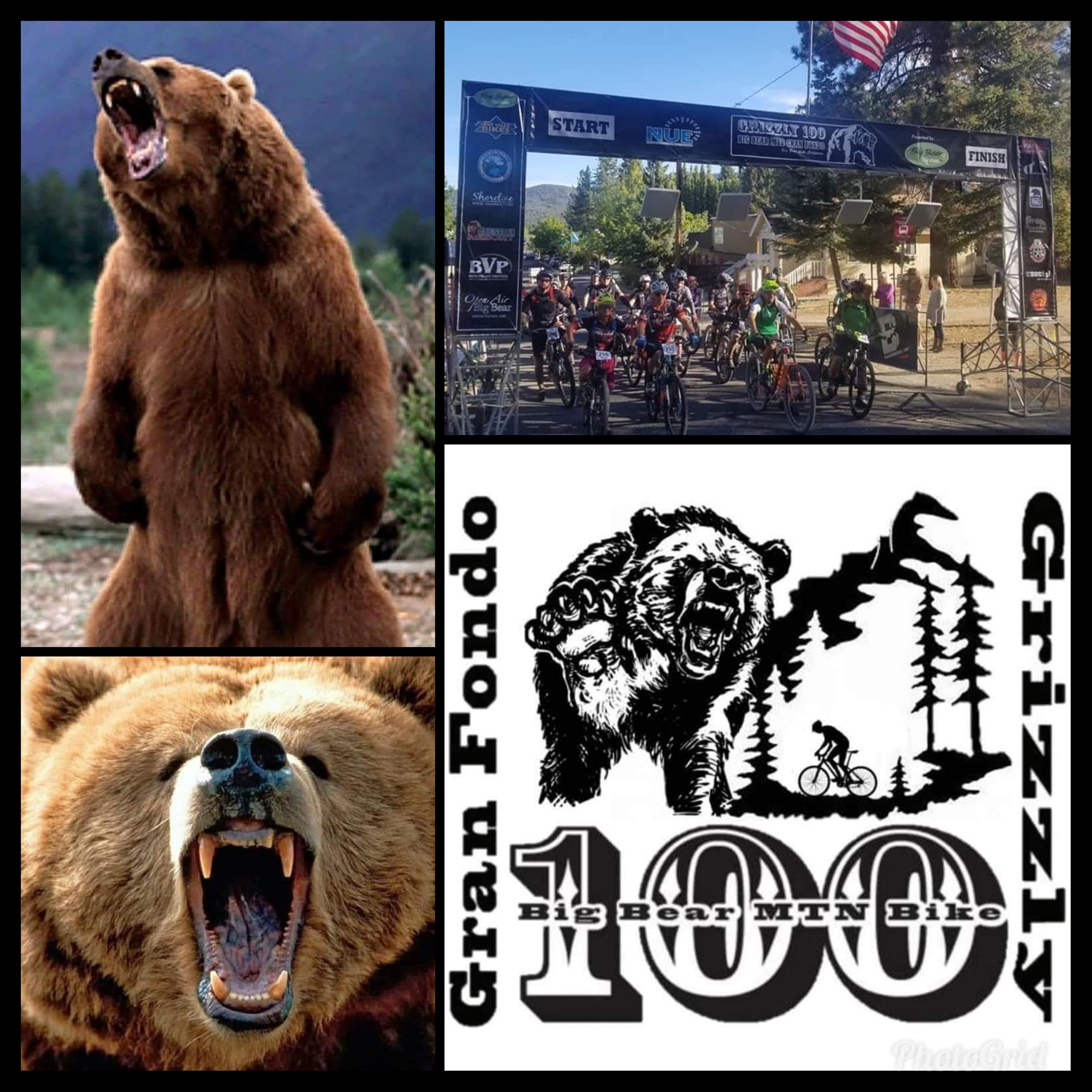 Grizzly 100k u0026 75k Pre-Ride - GRIZZLY 100 u0026 BIG BEAR MTB GRAN FONDO